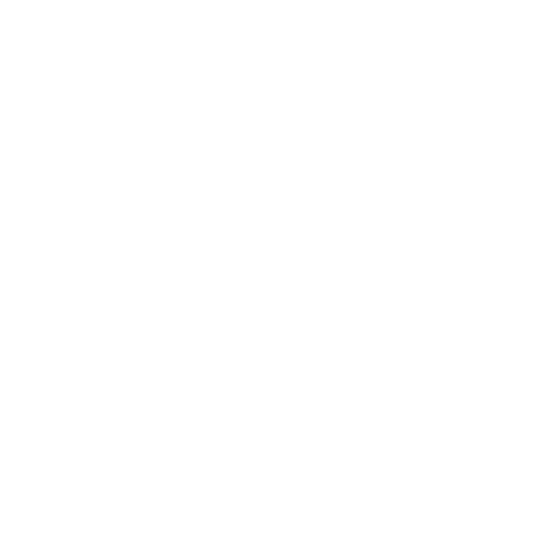 REVERIE LABEL LTD